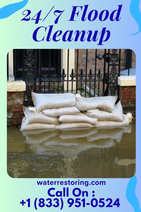 24/7 Flood Cleanup in Cobden, IL