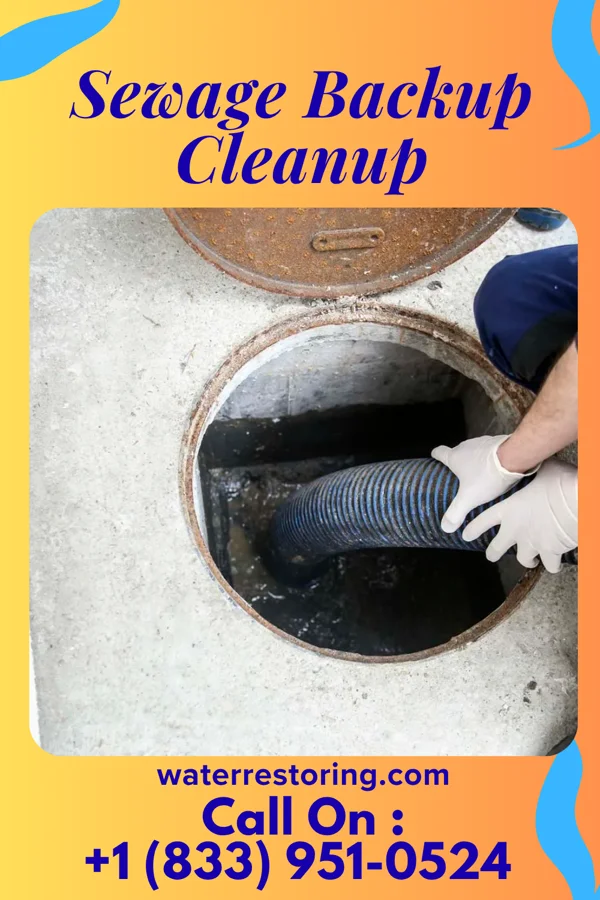 Sewage Backup Cleanup in Cobden, IL