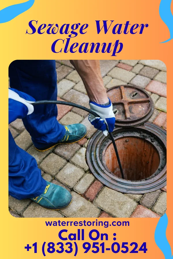 Sewage Water Cleanup in Cobden, IL