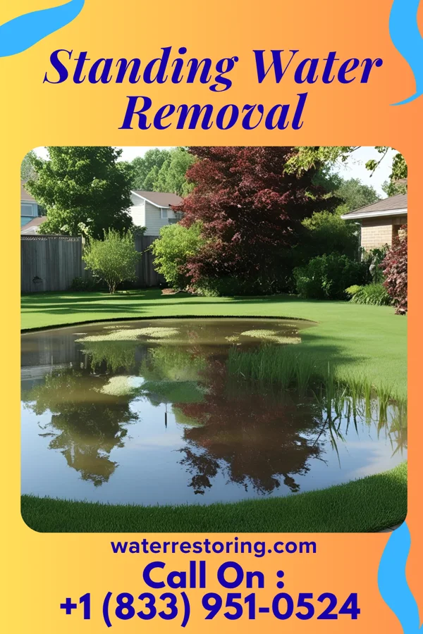 Standing Water Removal in Cobden, IL